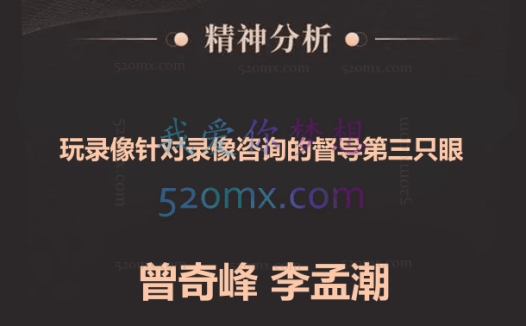 曾奇峰、李孟潮:玩录像针对录像咨询的督导第三只眼