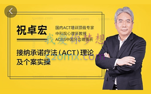祝卓宏:ACT接纳承诺疗法理论个案实操视频课