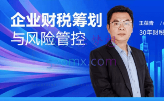 王葆青:企业财税筹划与风险管控