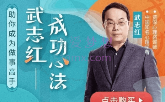 武志红《把事情做好的心理学课》