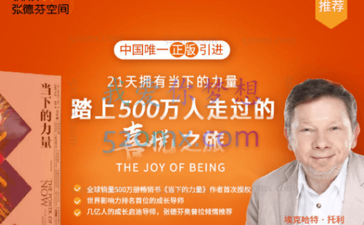 埃克哈特 · 托利：拥抱当下的力量 ·21天喜悦之旅 视频+文档