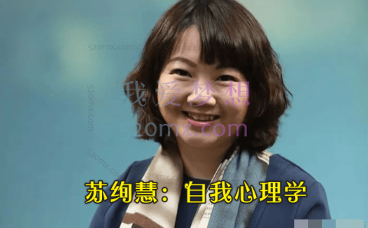苏绚慧：自我心理学