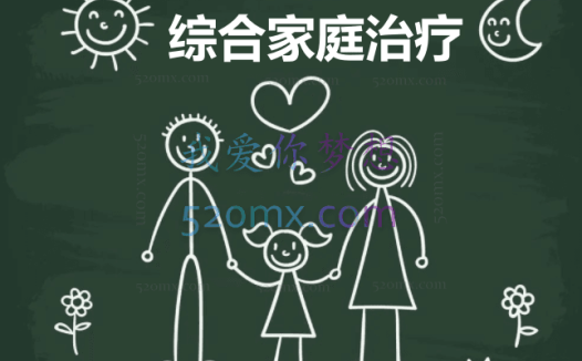 肯尼斯·哈迪:综合家庭治疗4集视频(中文翻译)