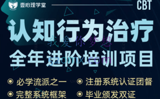景鹏：焦点解决短期治疗两天课程录音