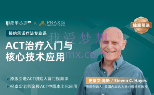 祝卓宏:接纳承诺疗法(ACT)基础课程18集视频