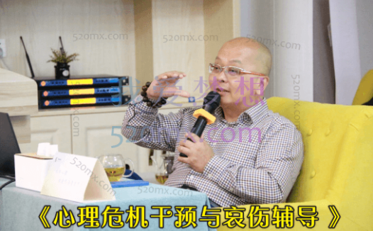 张海音:《心理危机干预与哀伤辅导 》现场录音+课件PPT