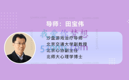 田宝伟博士:专业心理沙盘高级培训工作坊