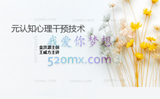 金洪源:第八十一届元认知心理干预技术全套