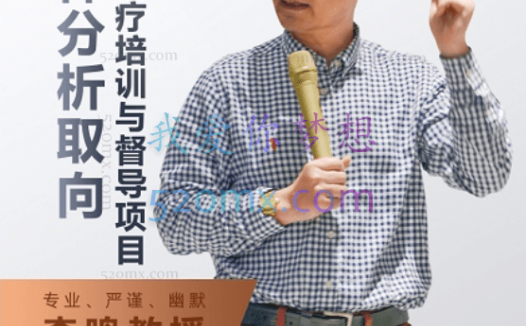 李鸣:精分析视角下的治疗主题(28讲)