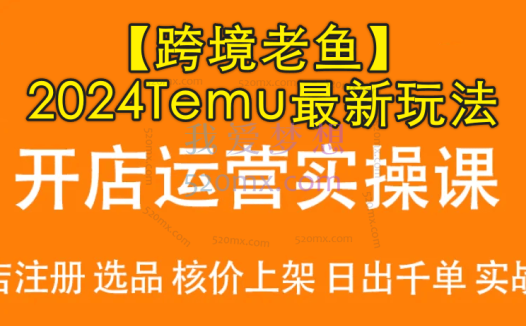 【跨境老鱼】拼多多旗下2024Temu最新玩法