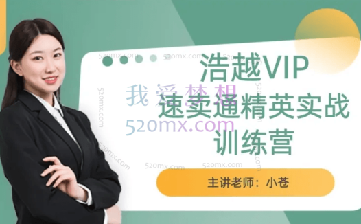 【浩越教育】速卖通精英实战训练营