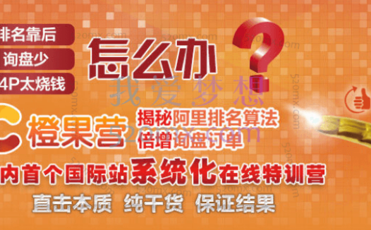 点石成金商学院【橙果营】 国际站在线特训营，第53-54期