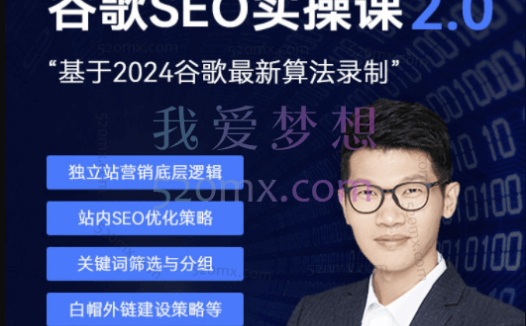 leizi谷歌SEO 2.0 实战课 – 独立站询盘自由必备，基于2024谷歌最新算法