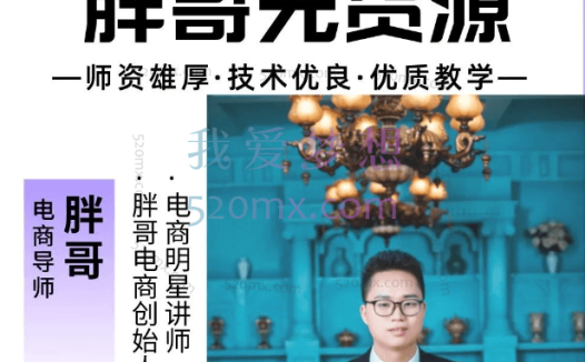 胖哥拼多多无货源(会员系列课程)