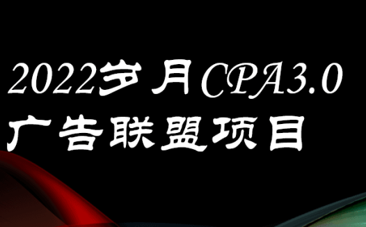 岁月CPA项目赚钱项目内训课