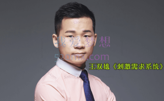 王双雄《刺激需求系统》