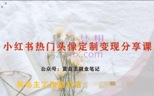 黄岛主小红书热门头像定制变现拆解课,一条龙玩法分享给你
