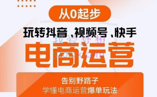 获客文化-从0起步玩转电商运营