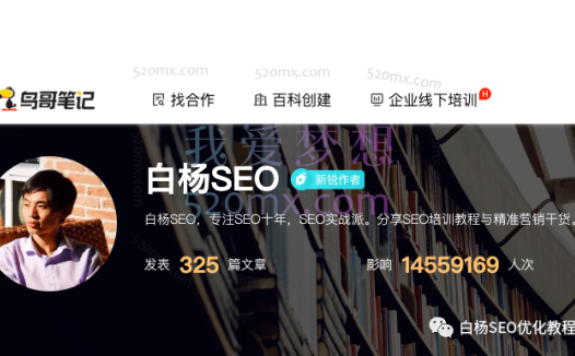 白杨SEO-打造个人IP视频课-短视频自媒体教程