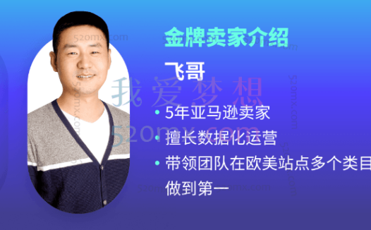 跨境飞哥亚马逊上线:全系商品搜索表现-搜索词表现,透视关键词利器