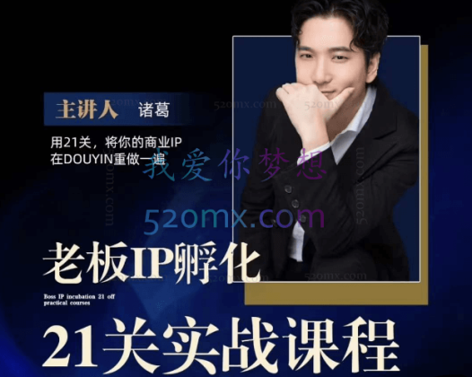 诸葛个人ip,14天打造