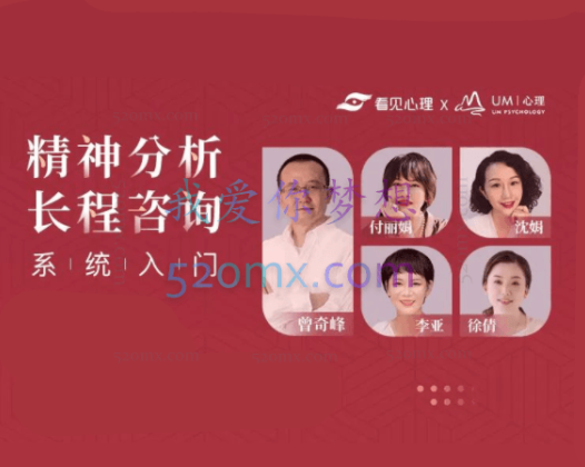 精神分析取向长程咨询实务系统课