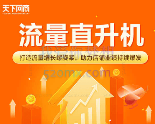 天下网商流量直升机(8月班)