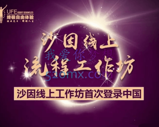 罗伯特.沙因费尔德:沙因 “流程”线上工作坊20讲视频课程 （中文字幕）