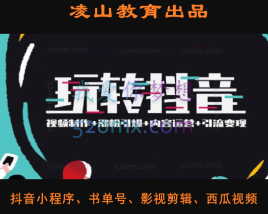 凌山教育:玩转抖音赚钱项目