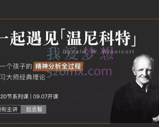 赵丞智：一起遇见温尼科特20节系列课
