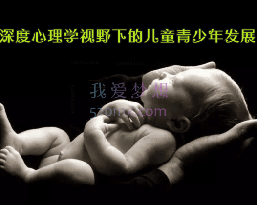 王峘：深度心理学视野下的儿童青少年发展 十二讲