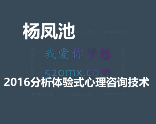 杨凤池：分析体验式心理咨询技术（初阶）微课