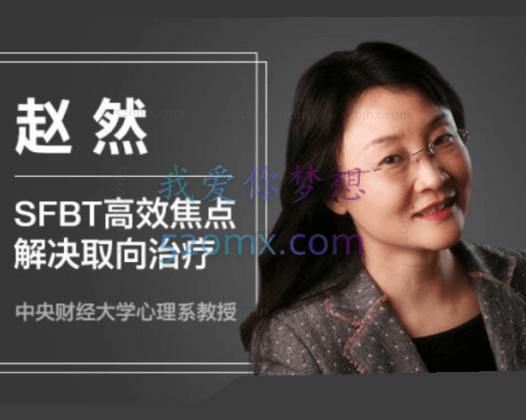 赵然 ：于丹妮 （SFBT）高效焦点解决取向治疗课程视频