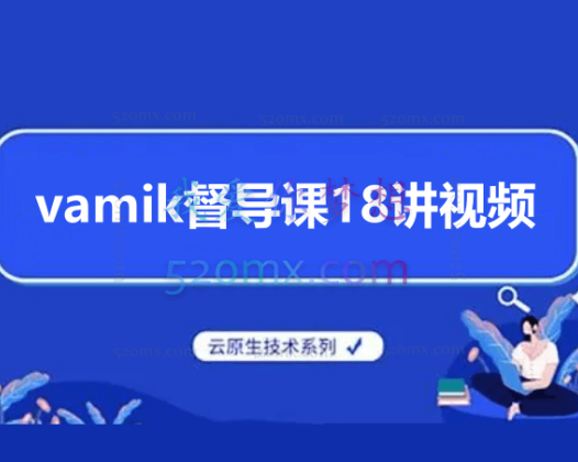 vamik督导课18讲视频