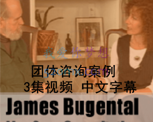 詹姆斯·布根塔尔：团体咨询案例 视频（中文字幕） 3集