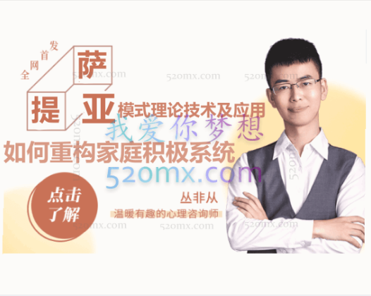 丛非从：萨提亚模式理论技术及应用 如何重构家庭积极系统