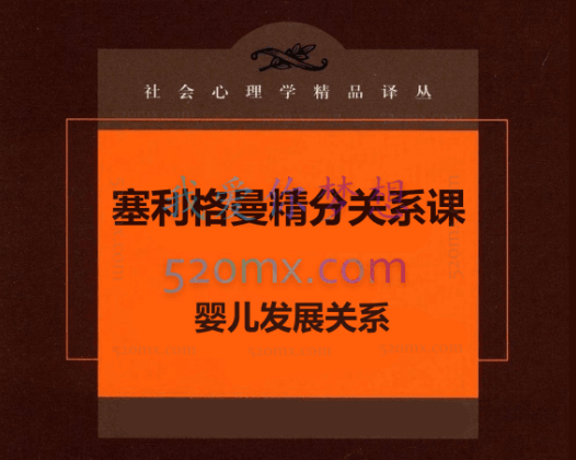 南希、奥格登、瓦林三位大师推荐【塞利格曼】关系—发展模型,包括临床治疗和婴儿期的关系与情绪 关系精分课 【视频+文字稿】