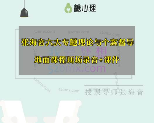 张海音：六大专题理论与个案督导地面课程现场录音+课件