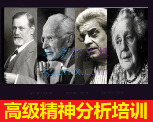 中美：高级精神分析连续培训项目第二季第一期课程录音