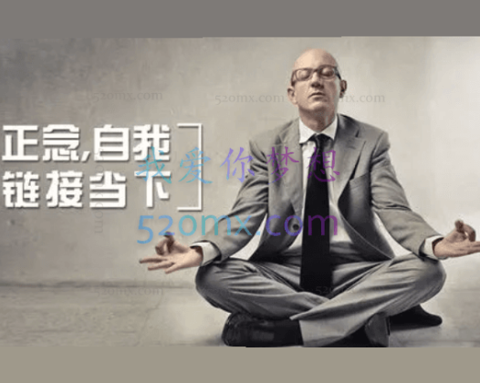 斯蒂文·海斯 :正念，自我链接当下,5集（中文字幕）