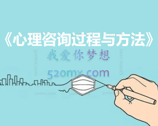 萧文《心理咨询过程与方法》MAP现场课程4天录音