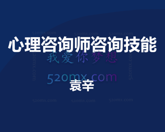 袁辛：心理咨询师咨询技能