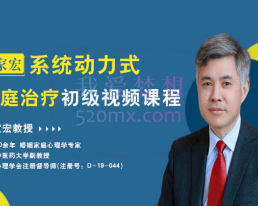 沈家宏系统动力式家庭治疗初级课程30讲
