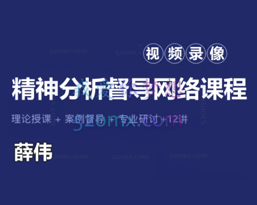 薛伟：精神分析督导网络课程12讲 视频录像