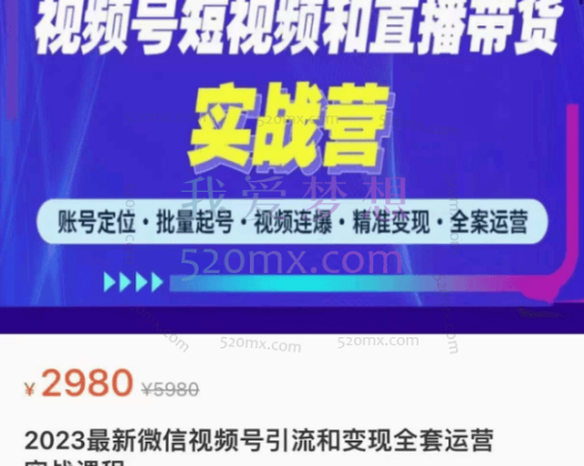 小卒：微信视频号引流和变现全套运营实战课程，账号定位·批量起号·视频连爆·精准变现·全案运营