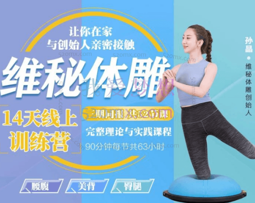 孙晶:维密体雕14天家庭陪训营-极速瘦腿