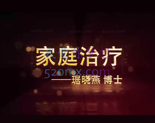 琚晓燕:家庭治疗技术与应用 基本理论+核心概念+技巧