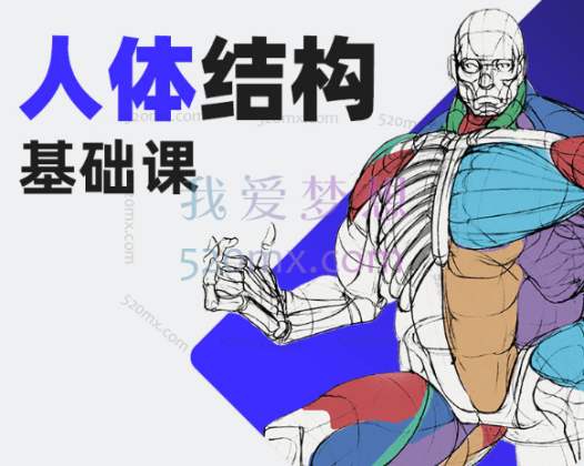 画画的春哥人体绘画入门修炼2021【画质不错有素材】