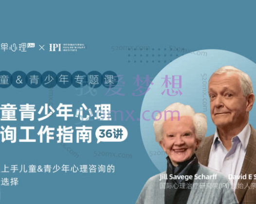 儿童青少年心理咨询工作指南36讲视频+课件（中英字幕）