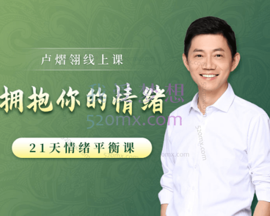 卢熠翎：拥抱情绪正能量21天情绪平衡清理训练营全套课程资料音频+资料